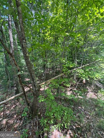 TR 3,4 Lakeland Drive, Ellijay, GA 30540