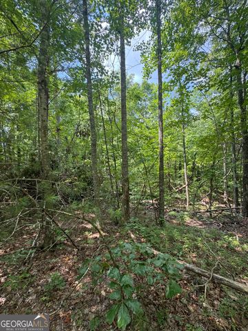 TR 3,4 Lakeland Drive, Ellijay, GA 30540