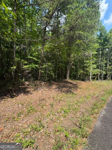 TR 3,4 Lakeland Drive, Ellijay, GA 30540