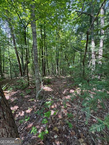 TR 3,4 Lakeland Drive, Ellijay, GA 30540