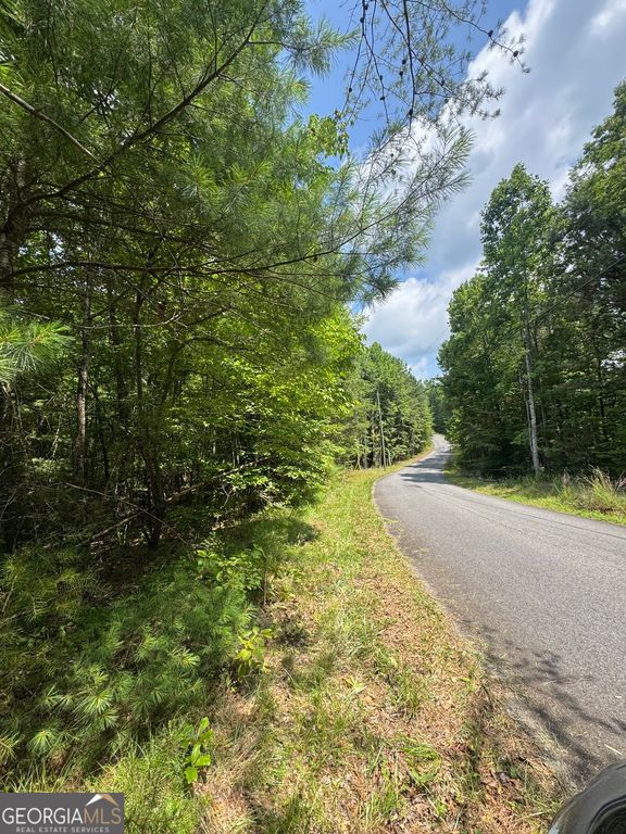 TR 3,4 Lakeland Drive, Ellijay, GA 30540