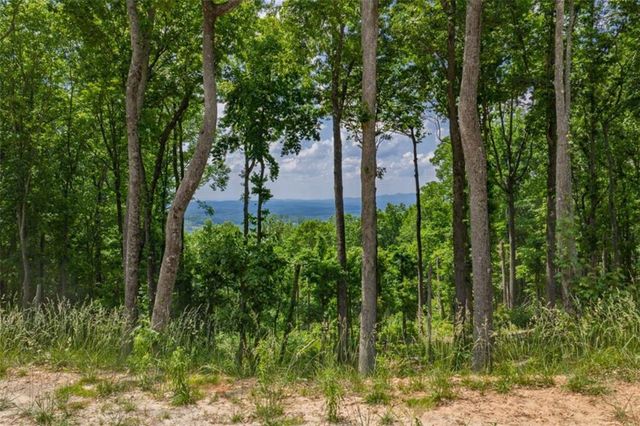 LT 411 Calloway Mountain Road, Talking Rock, GA 30175