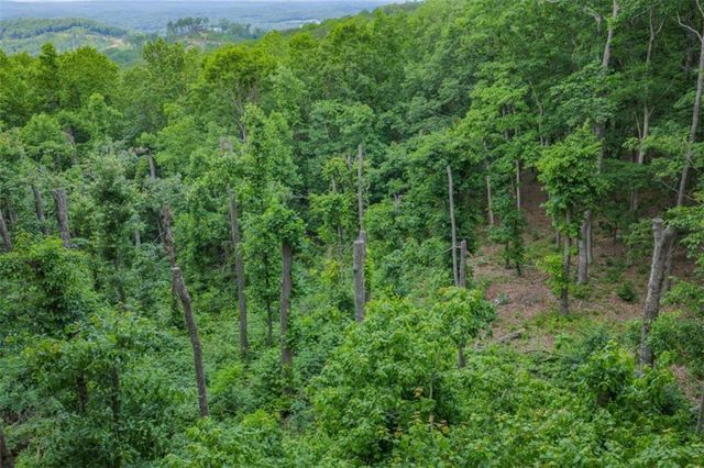 LT 411 Calloway Mountain Road, Talking Rock, GA 30175
