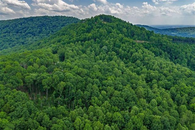 LT 411 Calloway Mountain Road, Talking Rock, GA 30175