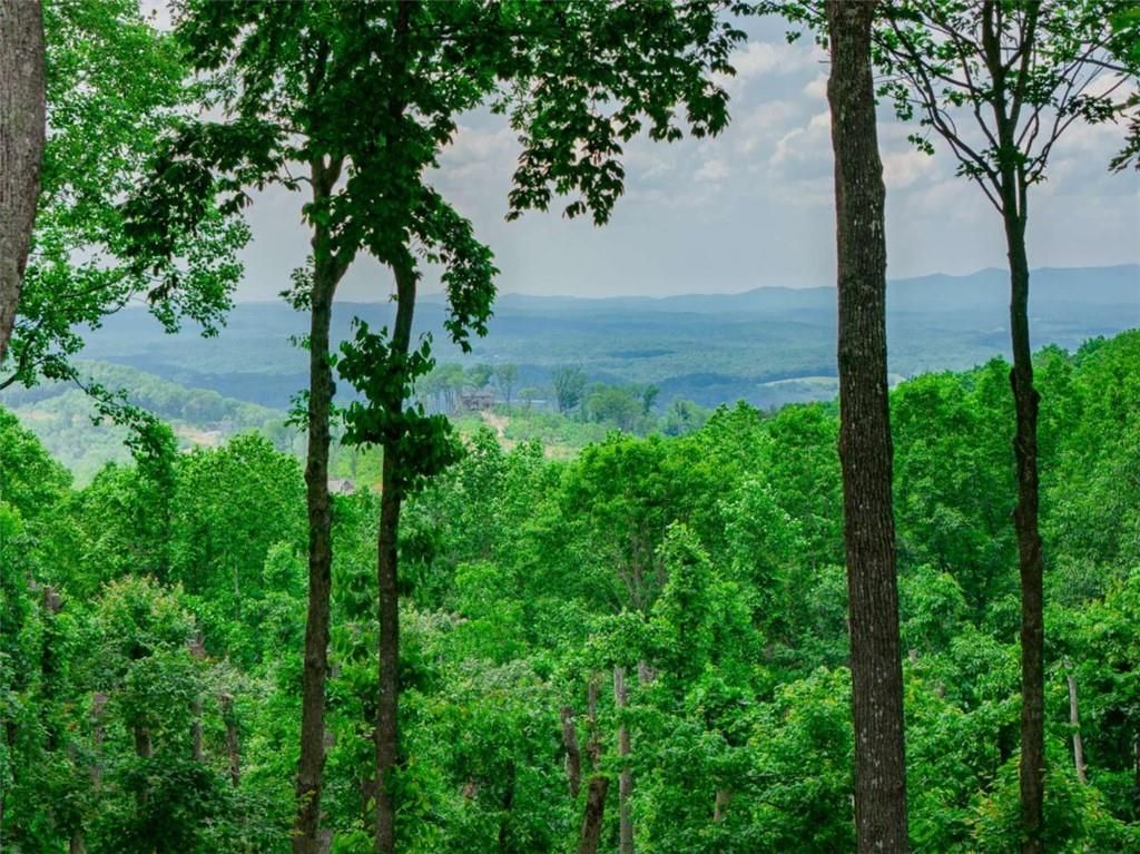 LT 411 Calloway Mountain Road, Talking Rock, GA 30175