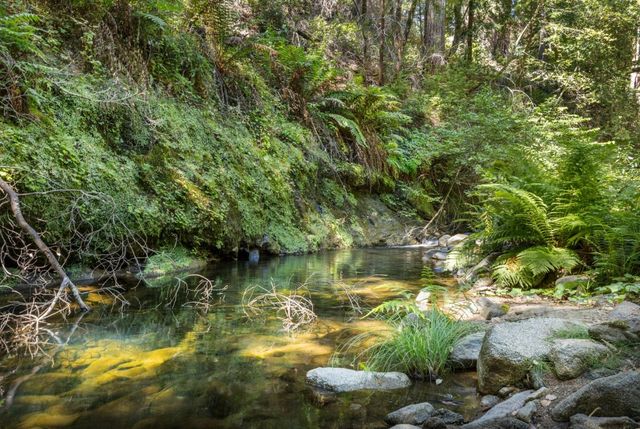 14515 Big Basin Way, Boulder Creek, CA 95006