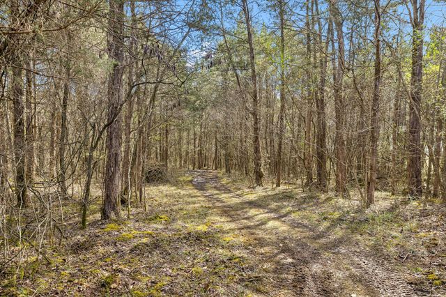 7 Paschal Rd, Unionville, TN 37180