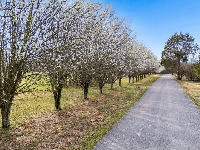 7 Paschal Rd, Unionville, TN 37180