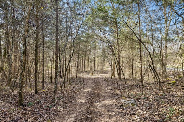 7 Paschal Rd, Unionville, TN 37180