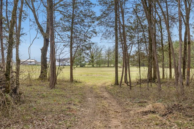 7 Paschal Rd, Unionville, TN 37180