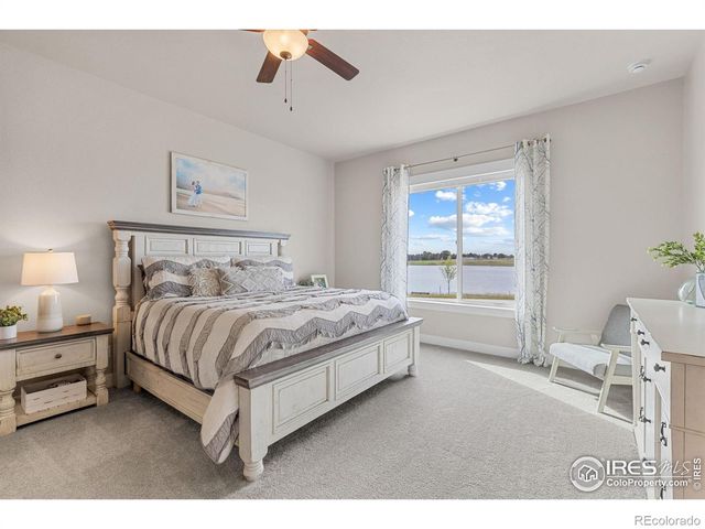 849 Loess Lane, Windsor, CO 80550