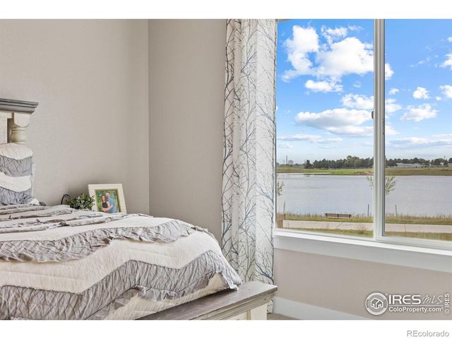 849 Loess Lane, Windsor, CO 80550