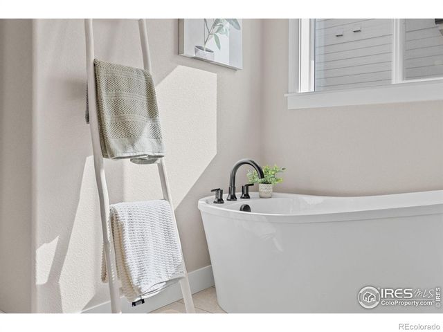 849 Loess Lane, Windsor, CO 80550