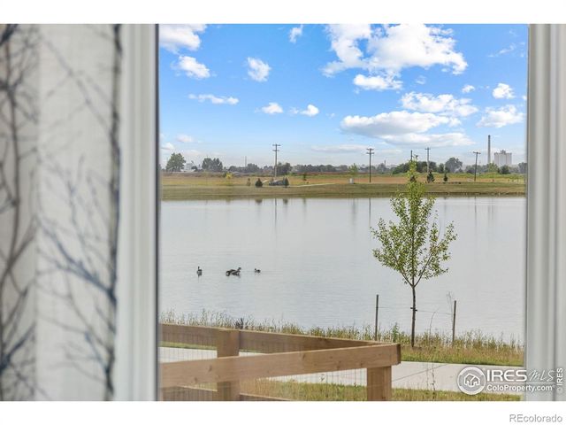 849 Loess Lane, Windsor, CO 80550