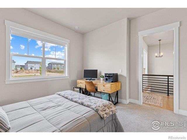 849 Loess Lane, Windsor, CO 80550