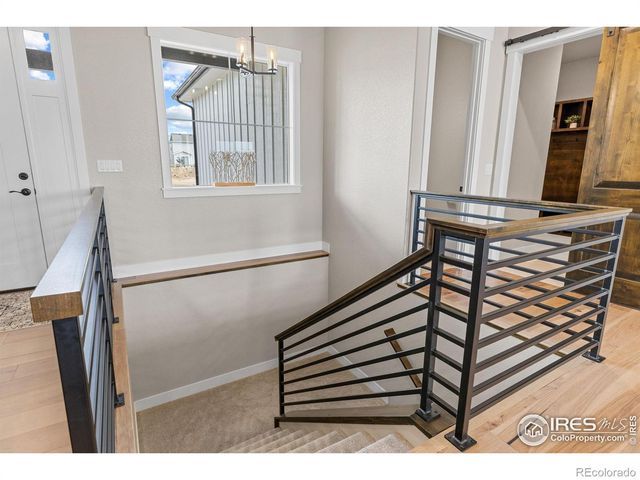 849 Loess Lane, Windsor, CO 80550