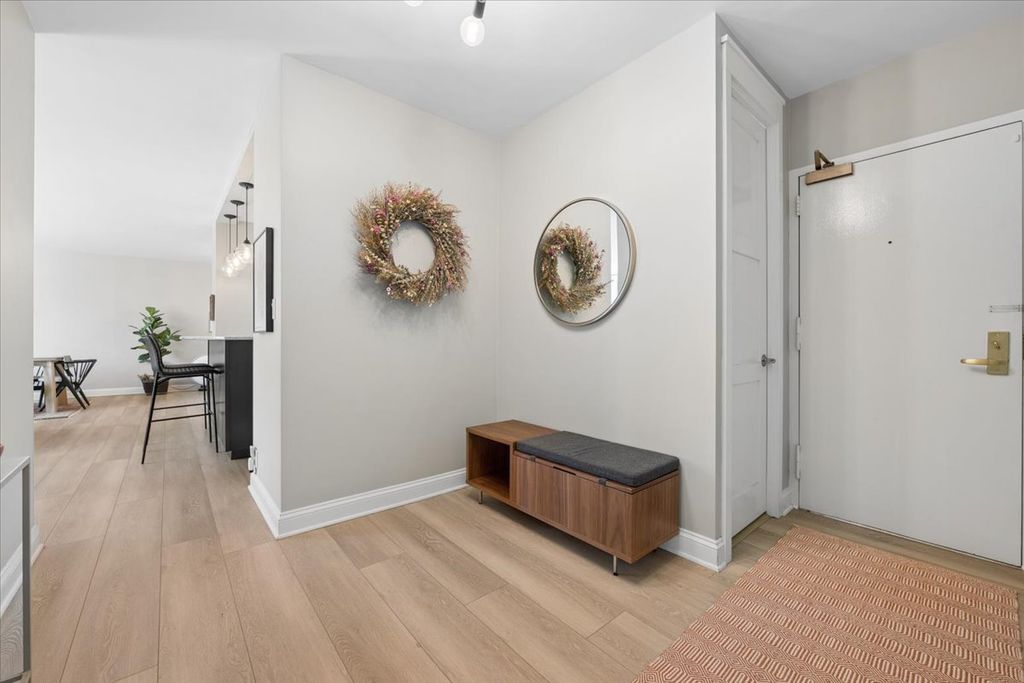 1325 N State Parkway 12E, Chicago, IL 60610 — photo 4
