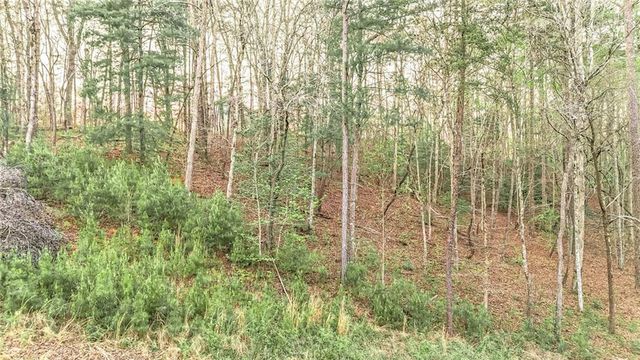 102 Overlook Way, Ellijay, GA 30540