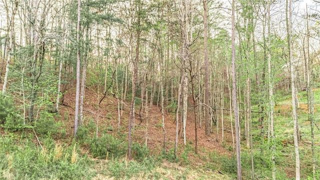 102 Overlook Way, Ellijay, GA 30540
