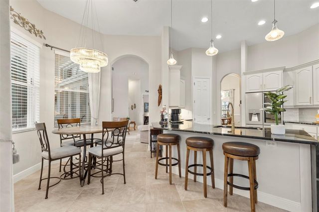 20203 CANE RIVER WAY, Tampa, FL 33647