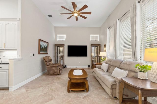 20203 CANE RIVER WAY, Tampa, FL 33647