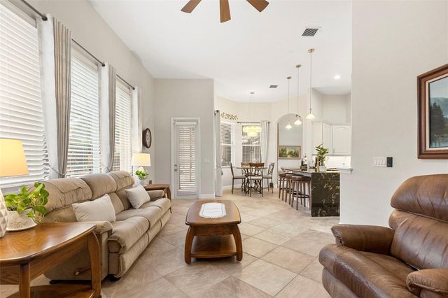 20203 CANE RIVER WAY, Tampa, FL 33647