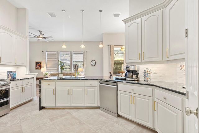 20203 CANE RIVER WAY, Tampa, FL 33647