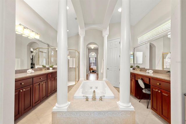 20203 CANE RIVER WAY, Tampa, FL 33647