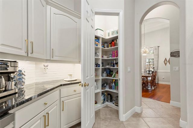20203 CANE RIVER WAY, Tampa, FL 33647