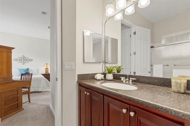 20203 CANE RIVER WAY, Tampa, FL 33647