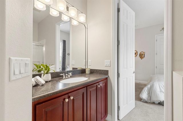 20203 CANE RIVER WAY, Tampa, FL 33647