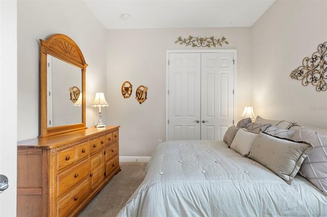 20203 CANE RIVER WAY, Tampa, FL 33647