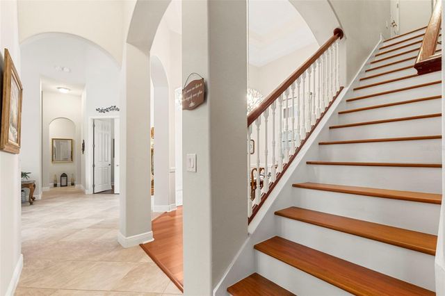 20203 CANE RIVER WAY, Tampa, FL 33647