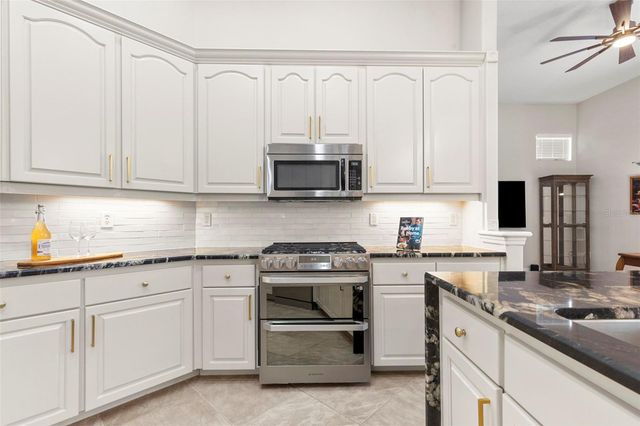 20203 CANE RIVER WAY, Tampa, FL 33647