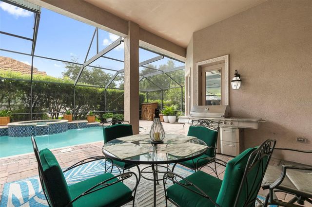 20203 CANE RIVER WAY, Tampa, FL 33647