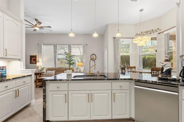 20203 CANE RIVER WAY, Tampa, FL 33647