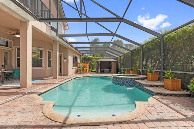 20203 CANE RIVER WAY, Tampa, FL 33647