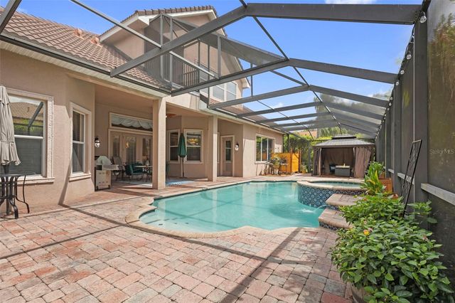 20203 CANE RIVER WAY, Tampa, FL 33647