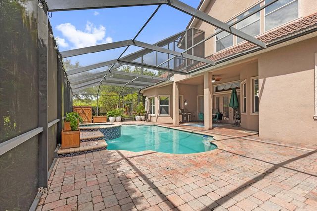20203 CANE RIVER WAY, Tampa, FL 33647