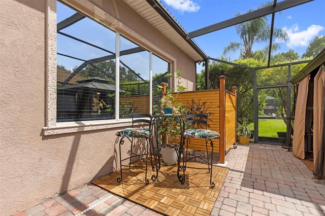 20203 CANE RIVER WAY, Tampa, FL 33647