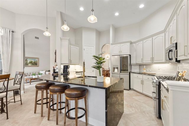 20203 CANE RIVER WAY, Tampa, FL 33647