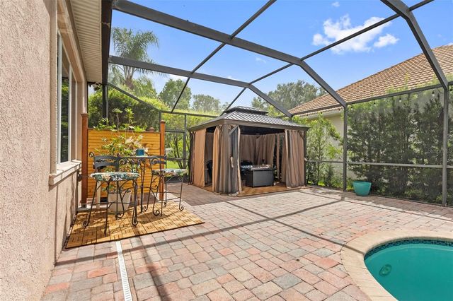 20203 CANE RIVER WAY, Tampa, FL 33647