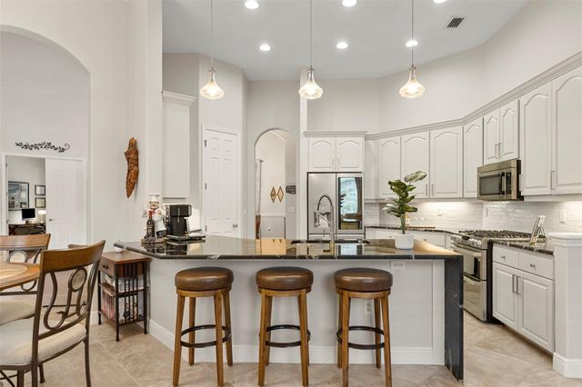 20203 CANE RIVER WAY, Tampa, FL 33647