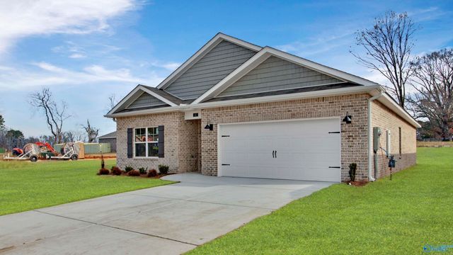 41 Cattail Court, Guntersville, AL 35976