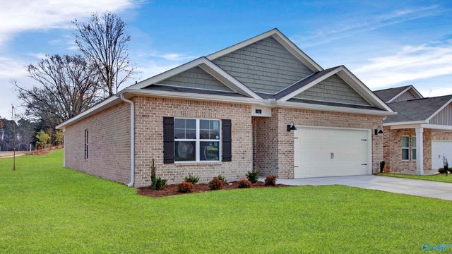41 Cattail Court, Guntersville, AL 35976