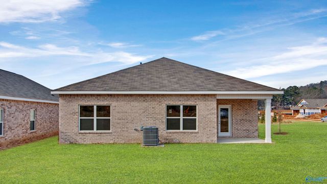 41 Cattail Court, Guntersville, AL 35976