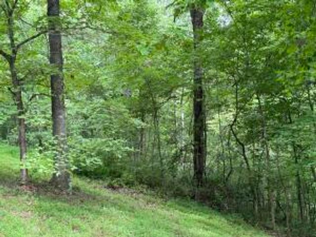 HC 73 Box 91 F, Marble Falls, AR 72648