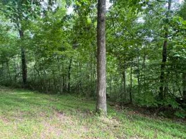 HC 73 Box 91 F, Marble Falls, AR 72648