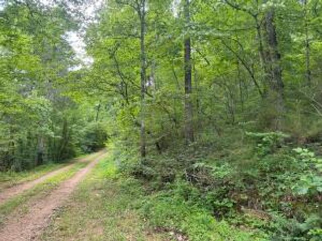 HC 73 Box 91 F, Marble Falls, AR 72648