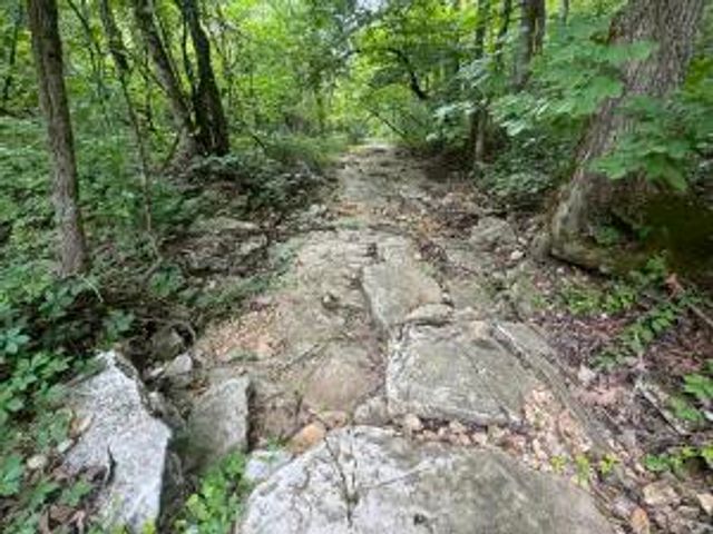 HC 73 Box 91 F, Marble Falls, AR 72648
